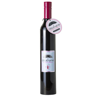Wine Bottle Umbrella – Compact Rain Umbrella with Bottle Case